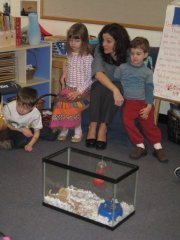 Gerbils
